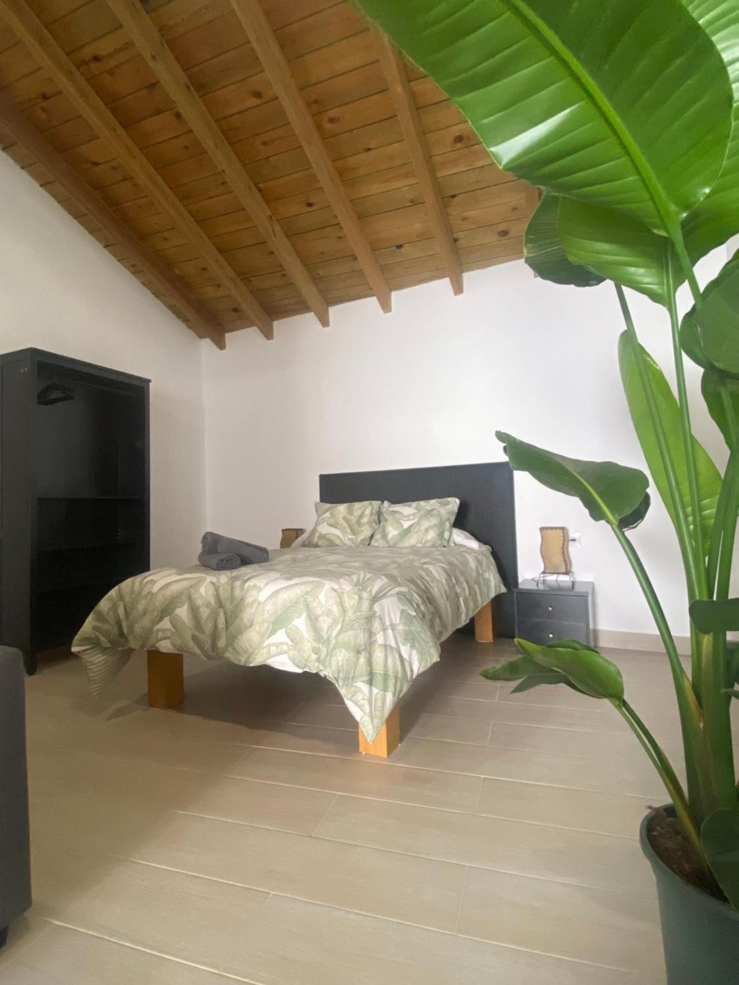 Apartment Apartamentos Algodonales